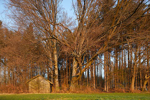 Gemeinde Reischach Landkreis Altötting Arbing Weiher Wald Hütte (Dirschl Johann) Deutschland AÖ